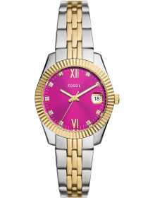 &quot;Fossil&quot; ES5337