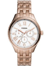 &quot;Fossil&quot; BQ3576