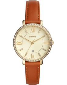 &quot;Fossil&quot; ES4293