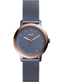 &quot;Fossil&quot; ES4312