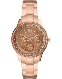 &quot;Fossil&quot; ES5109