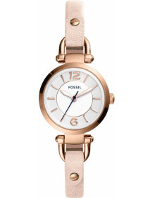 &quot;Fossil&quot; ES4340