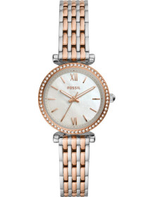 &quot;Fossil&quot; ES4649