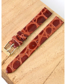 Ardi  14-03-02-1-2 PANDORA