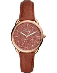 &quot;Fossil&quot; ES4420