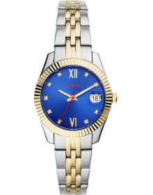 &quot;Fossil&quot; ES4899