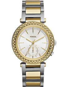 &quot;Fossil&quot; ES3850