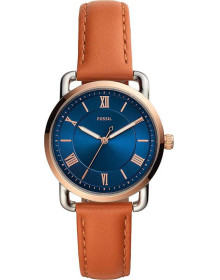 &quot;Fossil&quot; ES4825