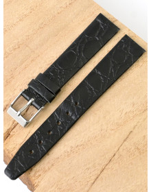 Ardi  16-03-01-1-1 PANDORA