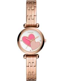 &quot;Fossil&quot; BQ3697