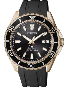 &quot;Citizen&quot; BN0193-17E