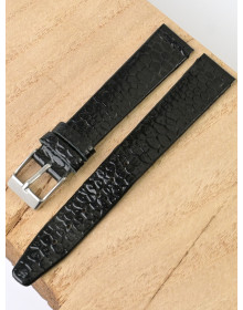 Ardi  16-03-01-1-7 ANAKONDA