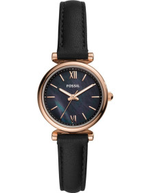 &quot;Fossil&quot; ES4700