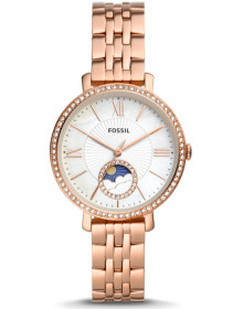 &quot;Fossil&quot; ES5165