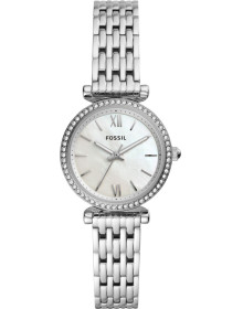 &quot;Fossil&quot; ES4647