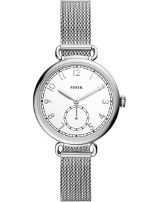 &quot;Fossil&quot; ES4885