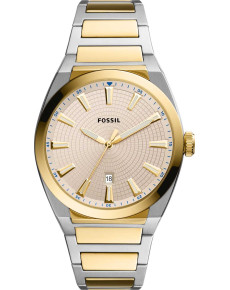 &quot;Fossil&quot; FS5823