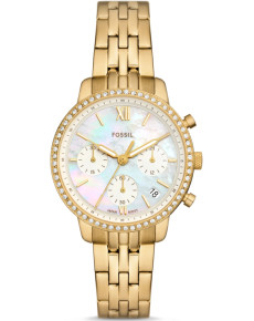 &quot;Fossil&quot; ES5358