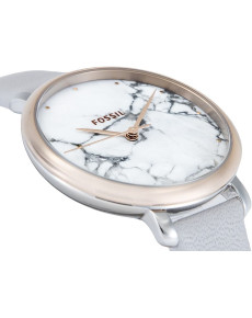 &quot;Fossil&quot; ES4377