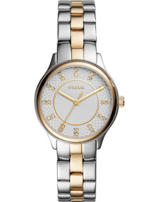 &quot;Fossil&quot; BQ1574