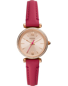 &quot;Fossil&quot; ES5006