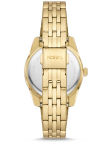 &quot;Fossil&quot; ES5338