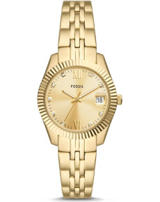 &quot;Fossil&quot; ES5338