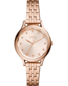 &quot;Fossil&quot; BQ3862