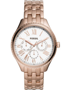 &quot;Fossil&quot; BQ3576