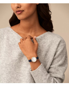 &quot;Fossil&quot; ES5295