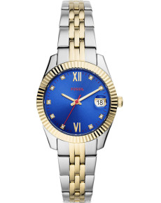&quot;Fossil&quot; ES4899