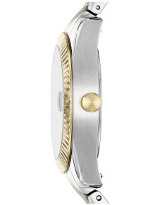 &quot;Fossil&quot; ES4899