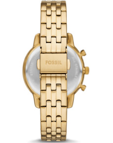 &quot;Fossil&quot; ES5358