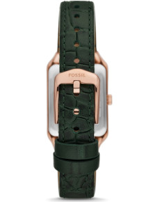 &quot;Fossil&quot; ES5366