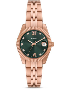 &quot;Fossil&quot; ES5369