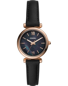 &quot;Fossil&quot; ES4700