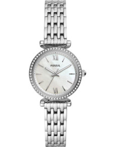 &quot;Fossil&quot; ES4647