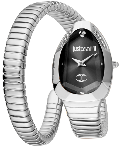 ���� Just Cavalli JC1L208M0025 #1