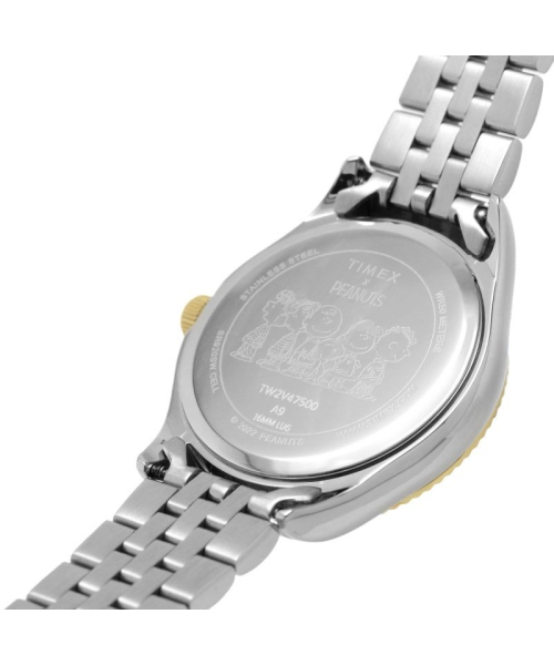  Timex TW2V47500 #3