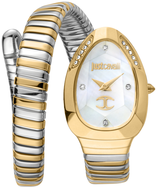  Just Cavalli JC1L229M0065 #1