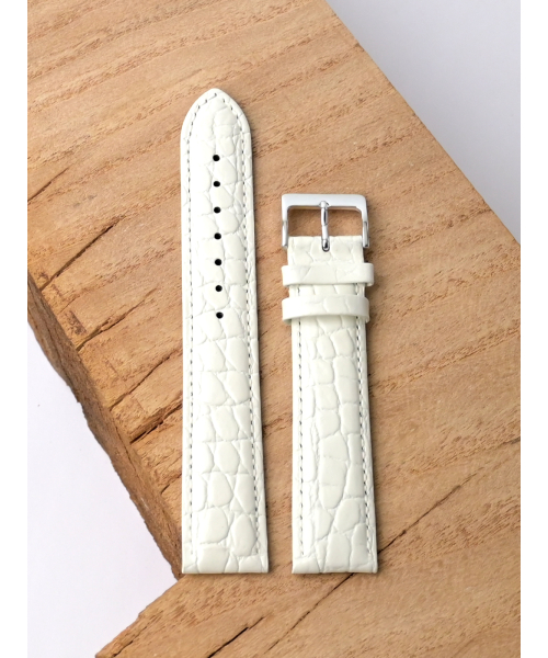 �. Siena 620-2011 #3