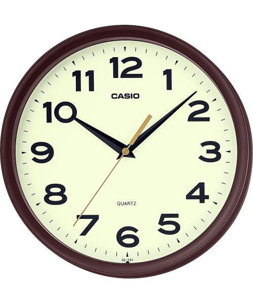 ��������� ���� �. Casio IQ-151-5 #1