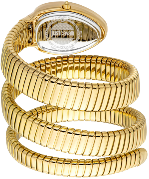  Just Cavalli JC1L230M0045 #2