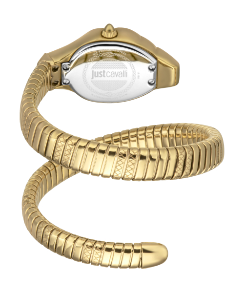 ���� Just Cavalli JC1L190M0035 #2