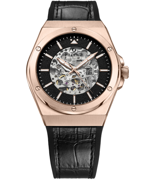 ���� Pilotage P 116.41.31 #1