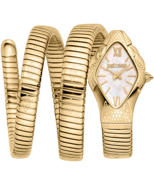  Just Cavalli JC1L307M0025 #1