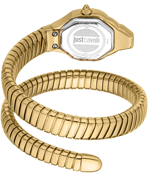  Just Cavalli JC1L326M0025 #3