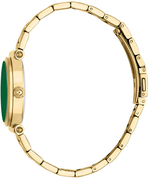  Just Cavalli JC1L365M0055_SET #3