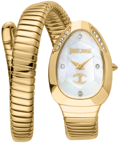 ���� Just Cavalli JC1L229M0025 #1