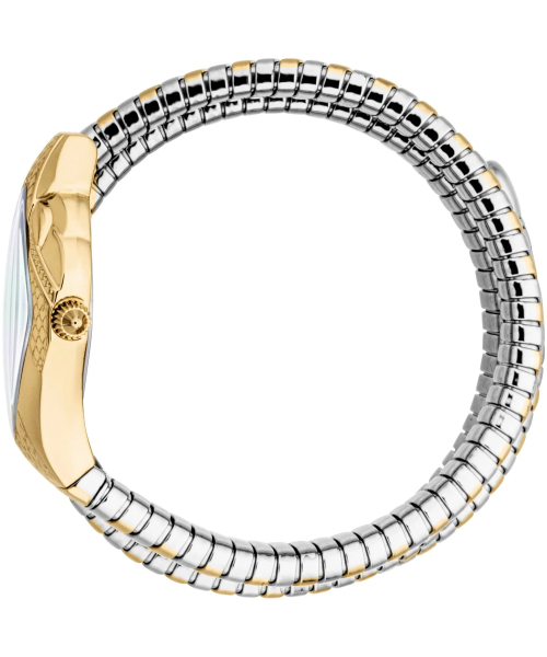  Just Cavalli JC1L307M0055 #2